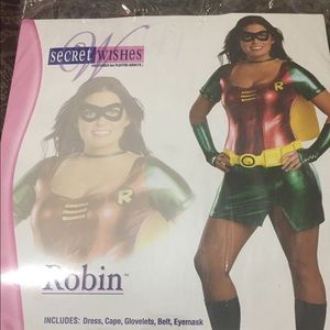 Plus size Halloween Costume- Sexy Robin